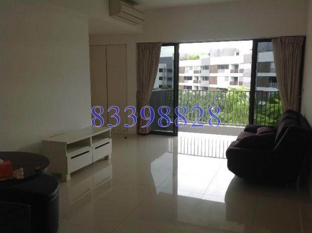 Meadows @ Peirce (D26), Condominium #65028952
